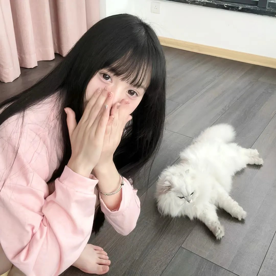 熊猫计划之部落奇遇记海报